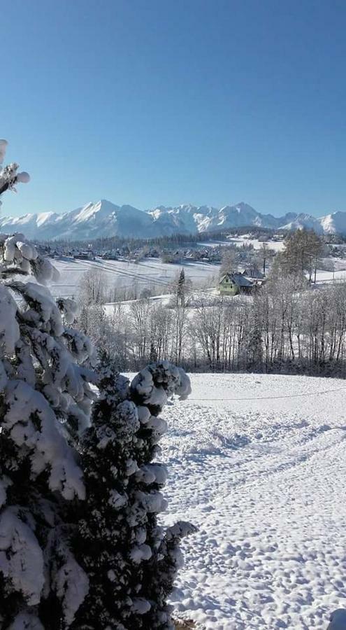 Agrotatry U Stachy Vila Bukowina Tatrzańska Exterior foto