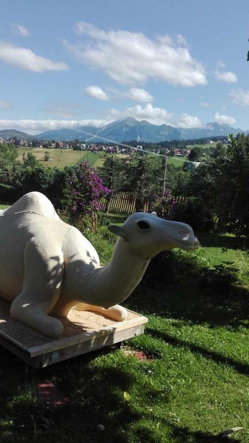 Agrotatry U Stachy Vila Bukowina Tatrzańska Exterior foto