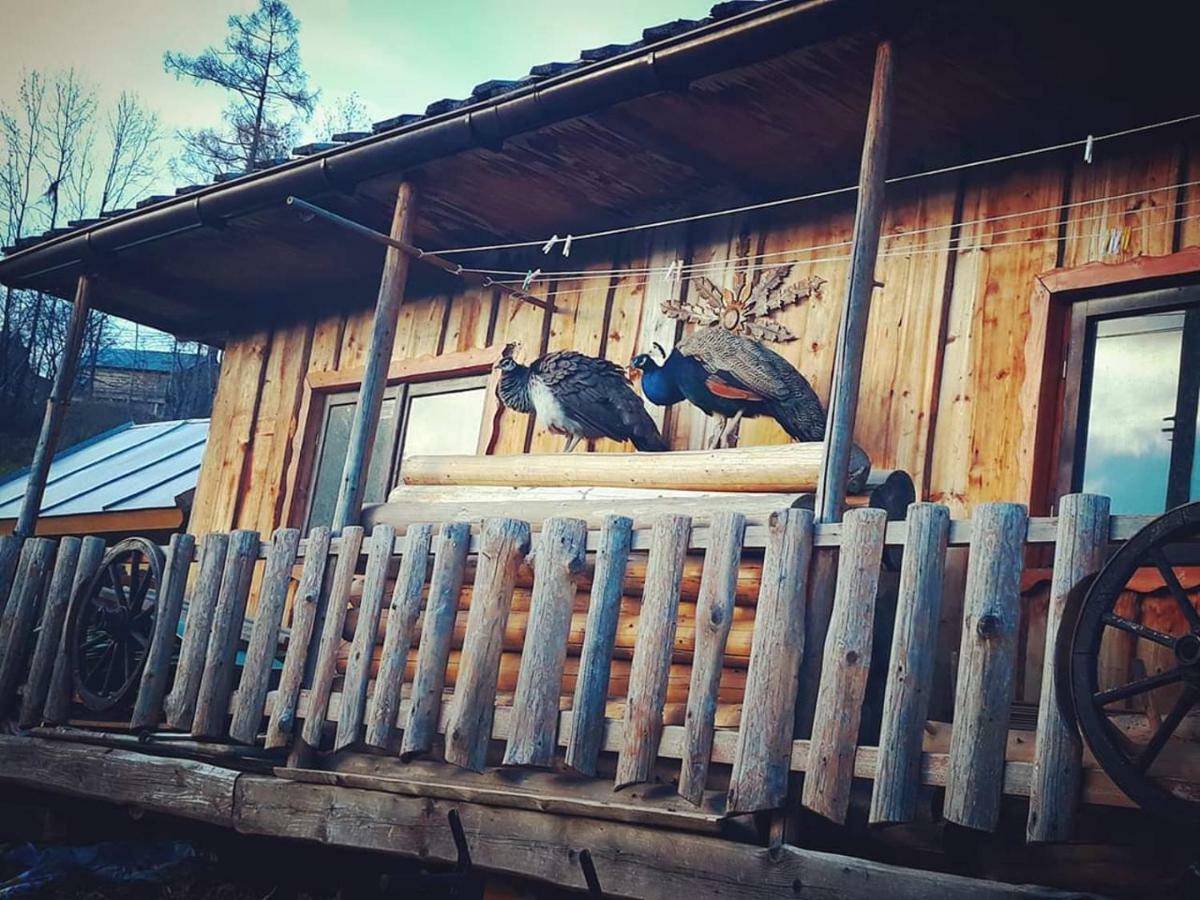 Agrotatry U Stachy Vila Bukowina Tatrzańska Exterior foto